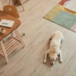 Warm,Toned,High,Angle,View,At,White,Labrador,Dog,Lying